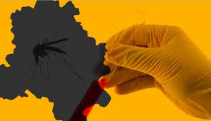 इन 5 कारणों से काट लेते लेते है मलेरिया के मच्छर