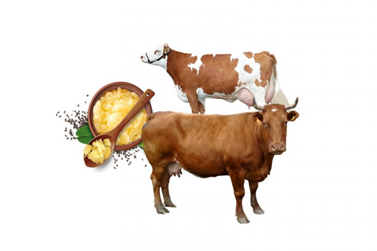 गाय का घी खाने से क्या क्या होते है फायदे