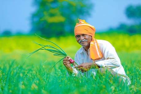 किसानों के लिए आई बड़ी खबर, धान को लेकर सरकार ला रही है नया प्रोजेक्ट