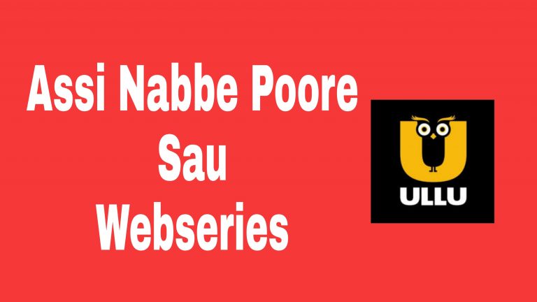 Assi Nabbe Poore Sau Ullu Web Series ( 2021 ) : Watch Online Cast, Free Download